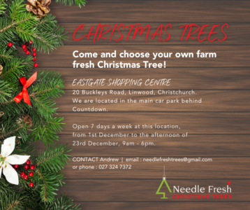 Christmas Trees at Eastgate – last day today 20th December due to demand,